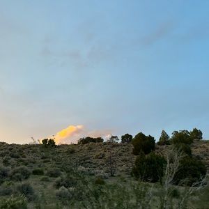 Meet your Posher, Ryleigh